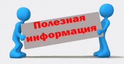Объем поддержанного экспорта в Самарской области превысил 2,8 млрд рублей