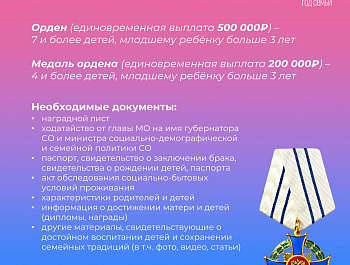 В год семьи не лишним будет вспомнить о наградах и званиях для многодетных родителей в Самарской области