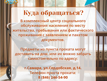 В Самарской области появился новый сервис для семей с детьми - пункты проката предметов первой необходимости для новорожденных детей в возрасте до 1,5 ле