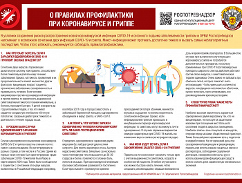 Профилактика гриппа и ОРВИ 